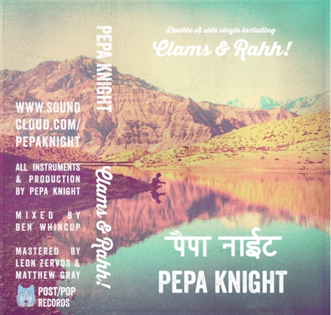 pepaknighttapecover