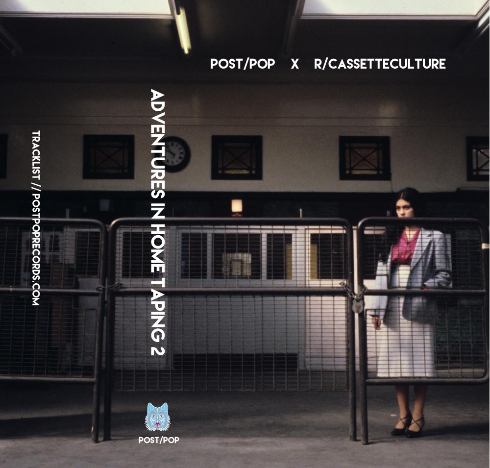 VARIOUS - ADVENTURES IN HOME TAPING 2 (PXP022)